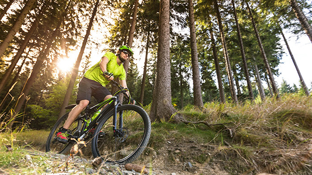 Improve Your Mountain Bike Skills With These Ten Tips Image Of A Cyclist On A Trail In The Woods Working On Improving Mountain Bike Skills